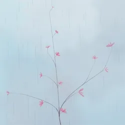Hana's Bloom #447