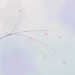 Hana's Bloom #296