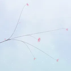 201
