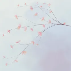 121