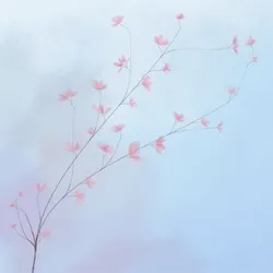 Hana's Bloom #417