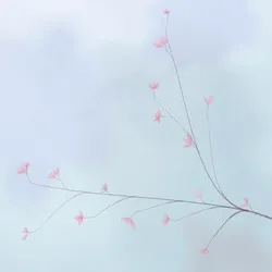 83