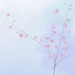 Hana's Bloom #445