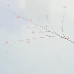 Hana's Bloom #233