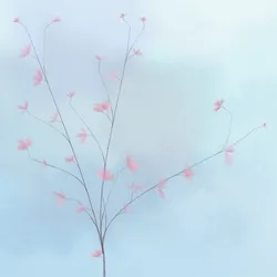 Hana's Bloom #146