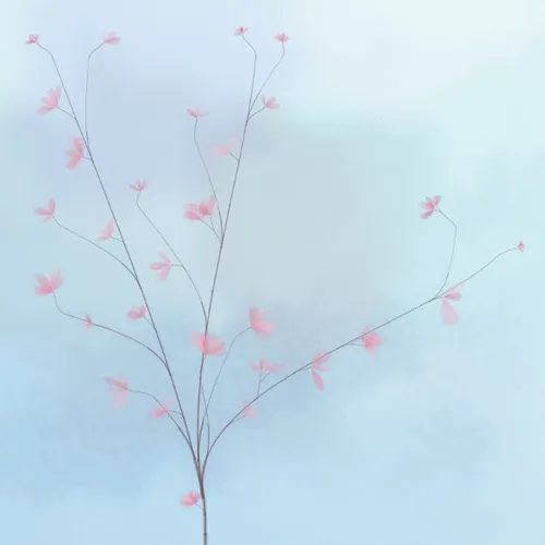 Hana's Bloom #146
