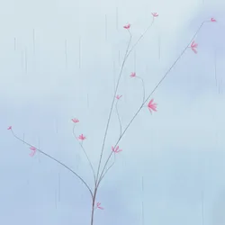 204