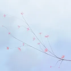 Hana's Bloom #153