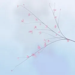 Hana's Bloom #380