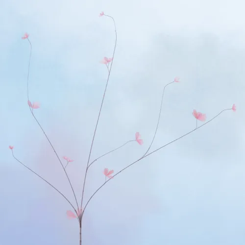 102