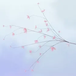 Hana's Bloom #463