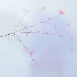 Hana's Bloom #382