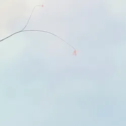 Hana's Bloom #20