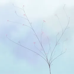 Hana's Bloom #478