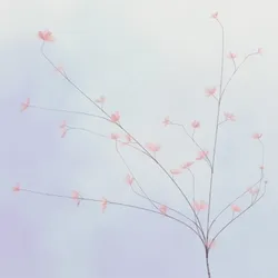 Hana's Bloom #438