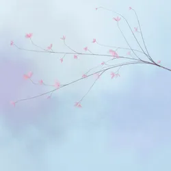 231
