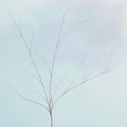 Hana's Bloom #460