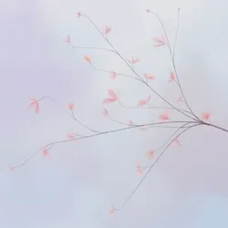 Hana's Bloom #161