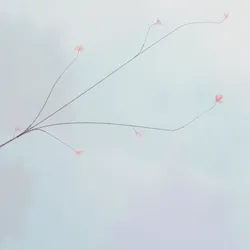 245