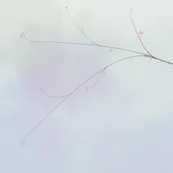 194