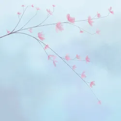 117