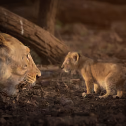 Mother’s guidance