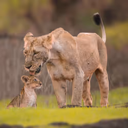 An eternal bond of love