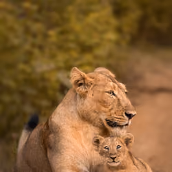 Safest place on earth