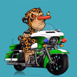 APERIDER #455 - AAS #3649 on Cop Cruiser