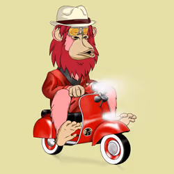 APERIDER #159 - LAYC #6194 on Scooter