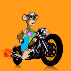 APERIDER #40 - TRAC #2198 on Cruiser