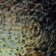95