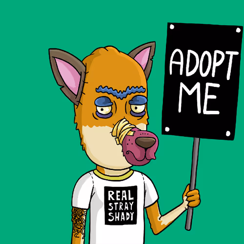 Dogz Hate Nfts