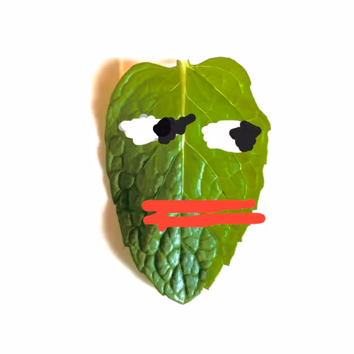 The Mint Memes