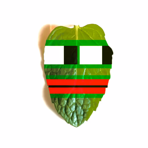 The Mint Memes