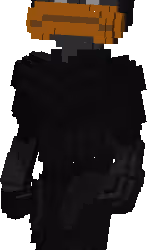223