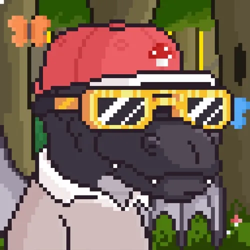 Pigi Dragon