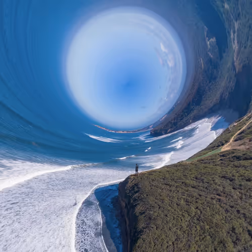 Item #6000050004 Media