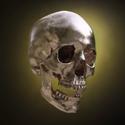 After-Death #391