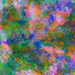224