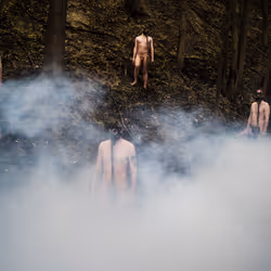 Young and free? - forest fires issue, work #1, 2020