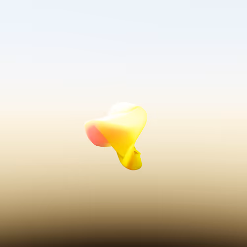 Item #63 Media