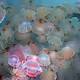 Sea of Souls
