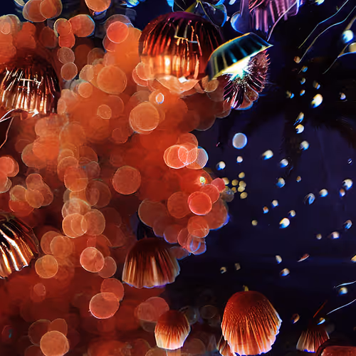 Sea Of Souls 1