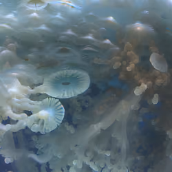 Sea of Souls #134
