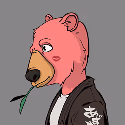 Zuki Bear #988