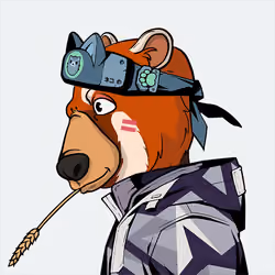 Zuki Bear #4953