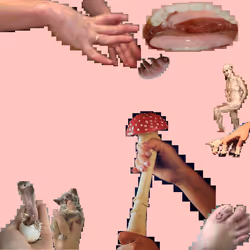 10373145874974253898793887098377108429811282323783553244735388804338339302872