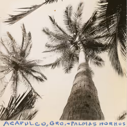 39832707741741658249648333051879371727174779122217942523026997787382701778816