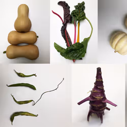 53017527382160263344949129023907998942180735038365341211366764333346844304723